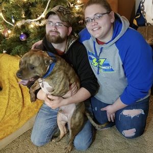 Meet your Posher, Peter